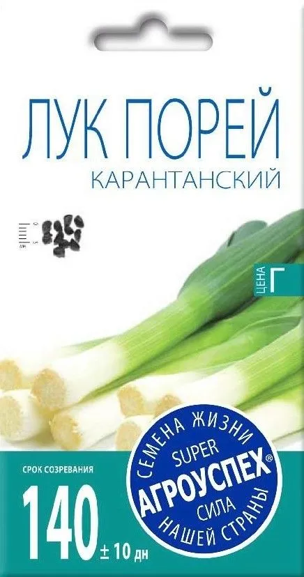 х лук порей карантанский