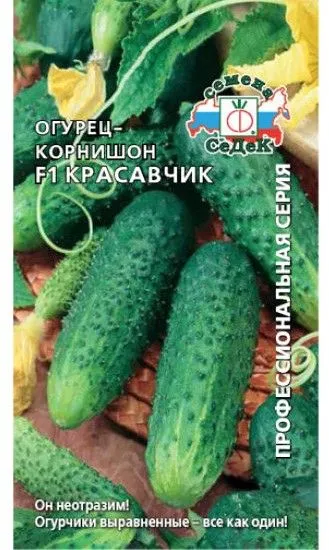 Седек огурец Красавчик F1 з г (Евро, 0,3)
