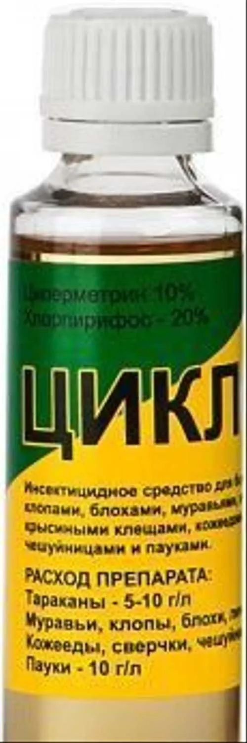 EzJCaNiKpCeGy32Gp