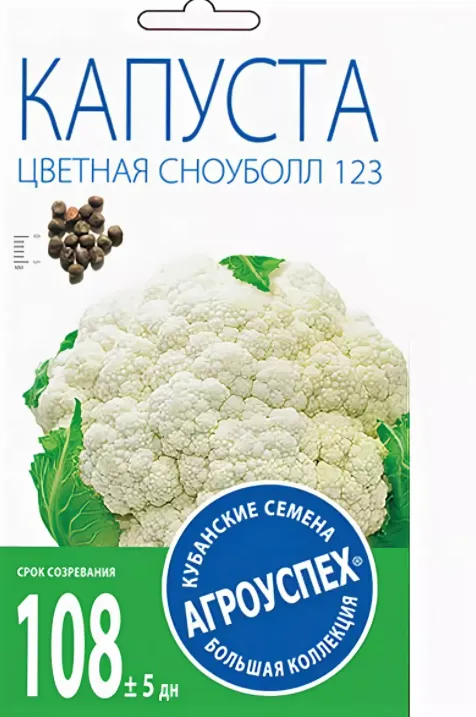 ы сноуболл 123