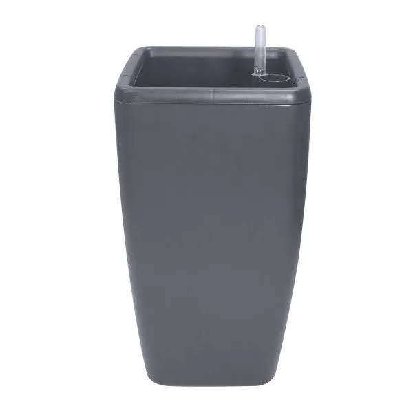 NF-00017453
