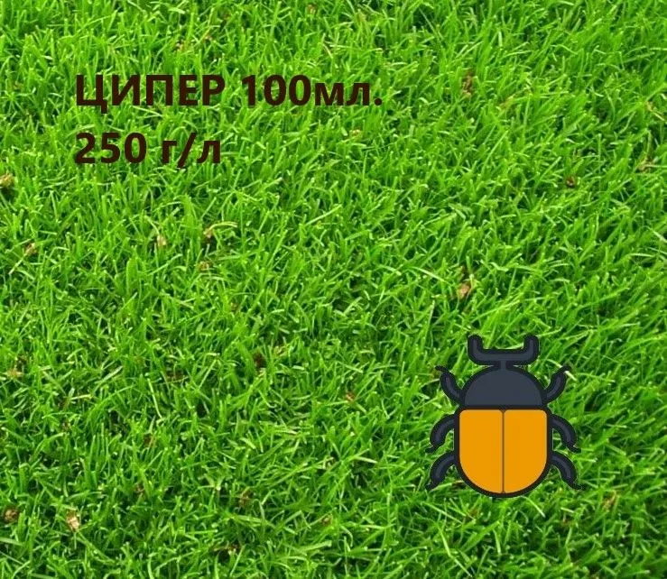 g_sport_2