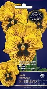 Седек Виола Рината F1 (вид: Витрокка) (Евро, 5; 8492)