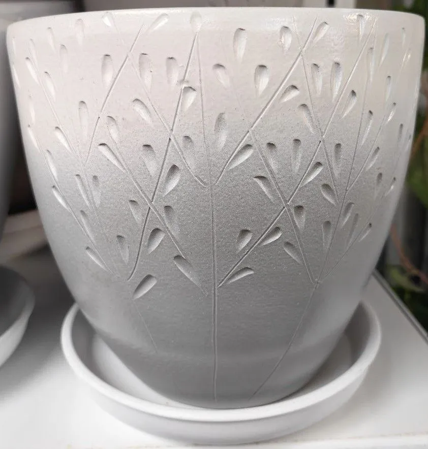 photo1701259918