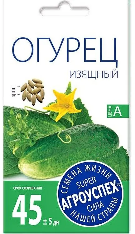 Л огурец Изящный ранний пчел