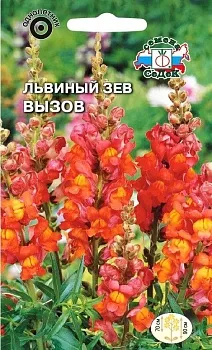 Седек Львиный зев Вызов (высокий, красно-оранжевый) (Евро, 0,1)