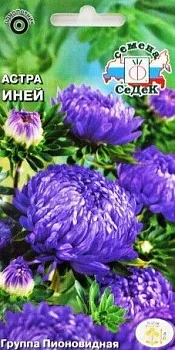 Седек Астра Иней (пионовидная, серебристо-синяя) (Евро, 0,2)