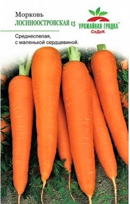 УГ морковь Лосиноостровская 13