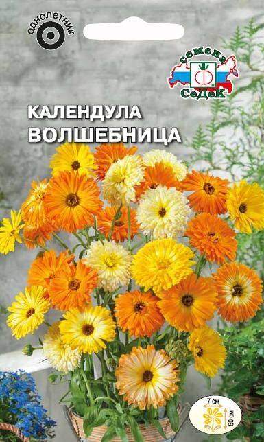 1аааав календула волшебница