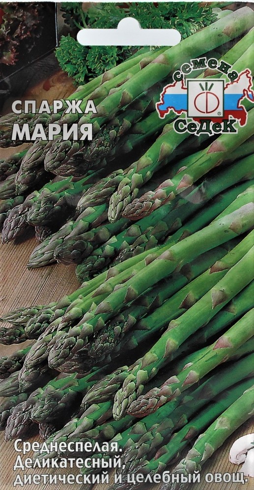 Седек спаржа Мария (Евро, 0,5)