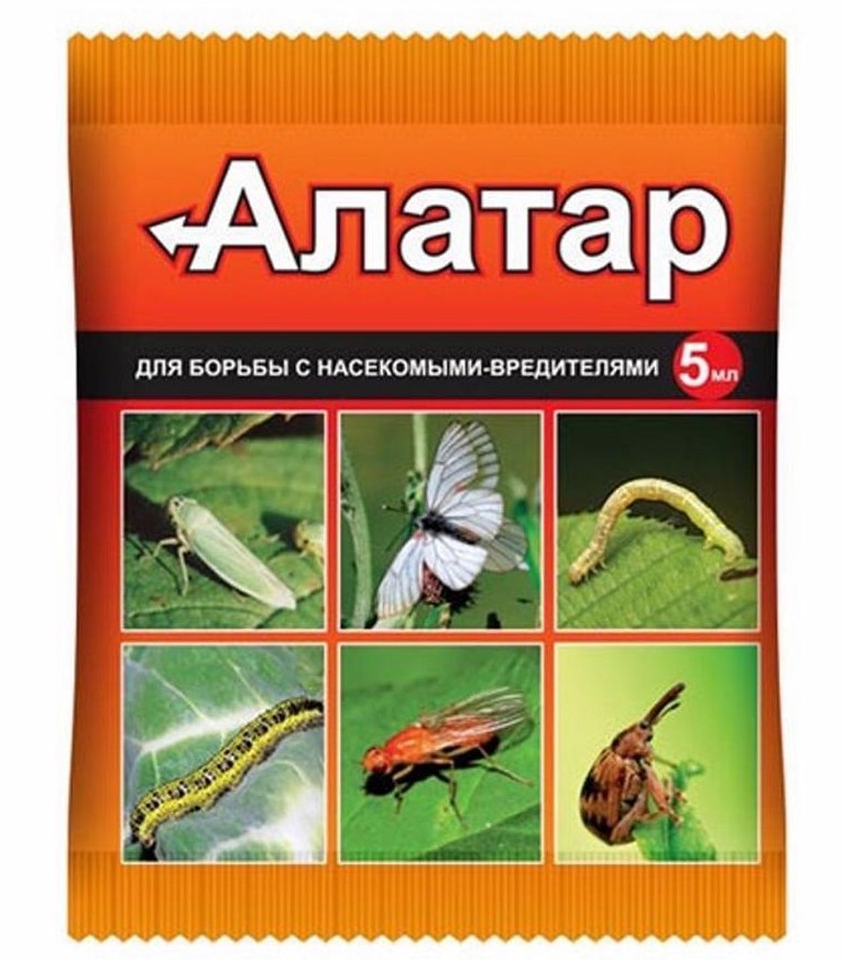 д алатар пакет