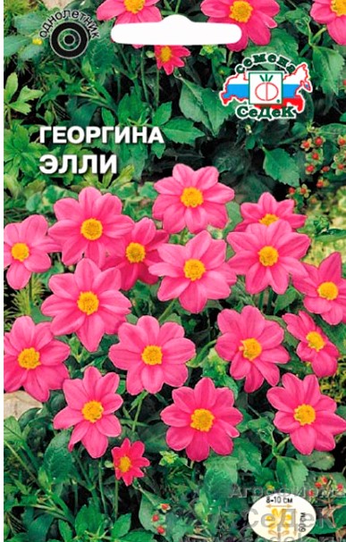 Седек Георгина Элли ( розовая) (Евро, 0,2)