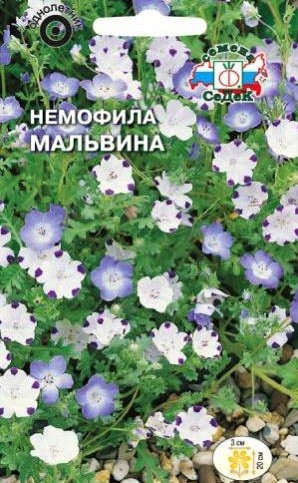 Седек Немофила Мальвина (смесь цветов) (Евро, 0,05)