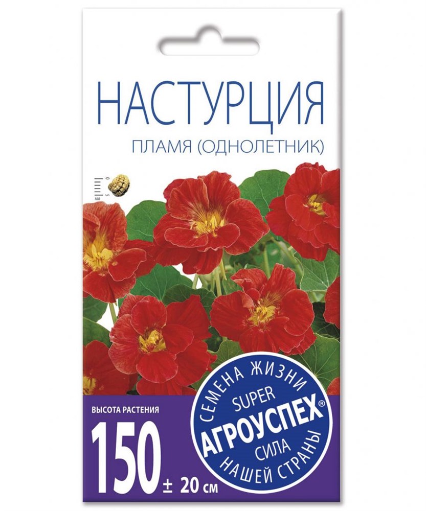 ж настурция пламя
