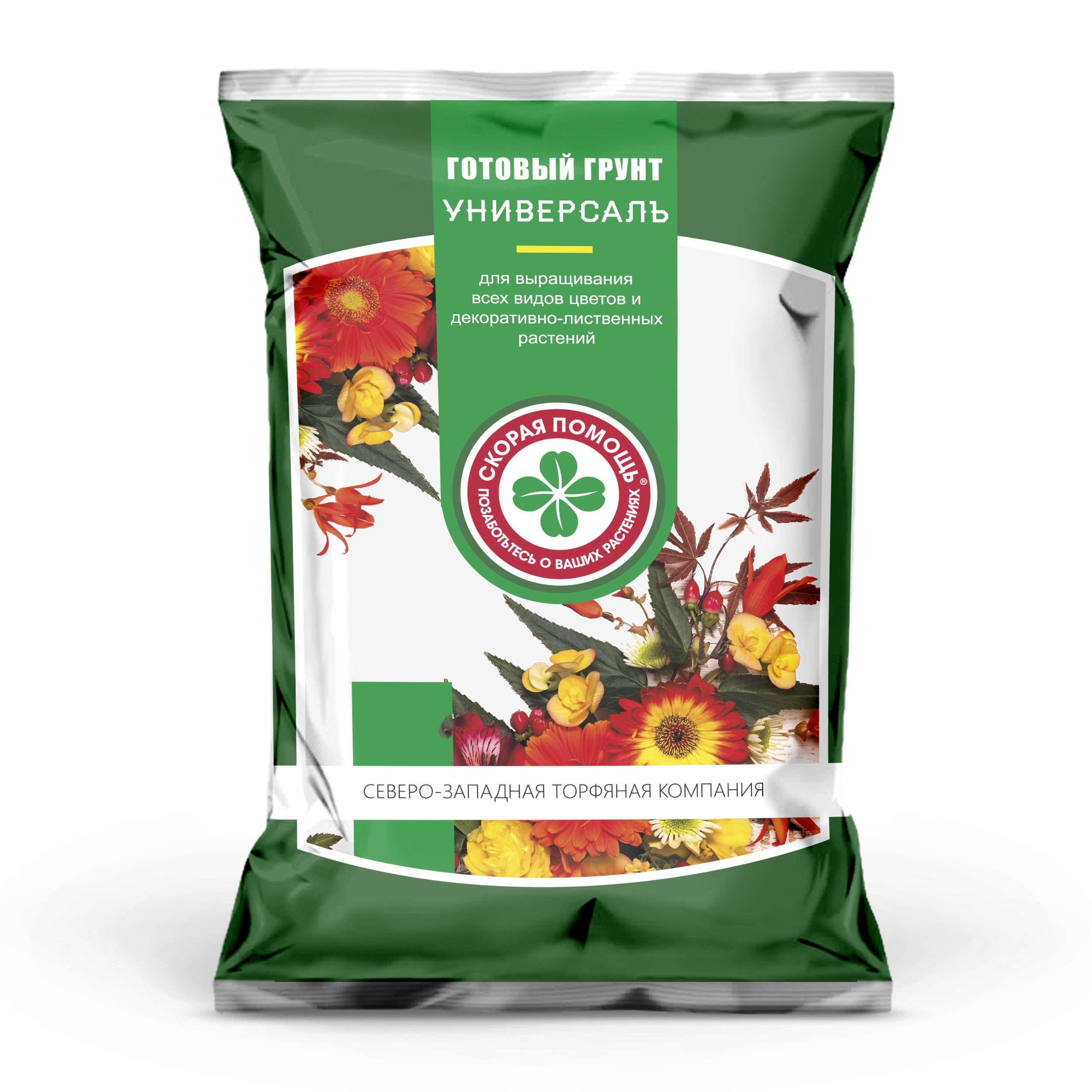80_01 (1)