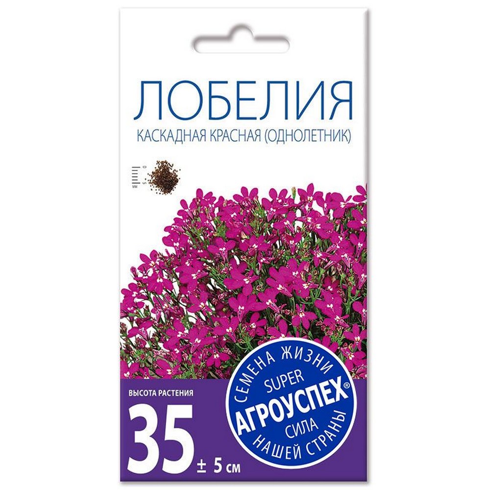 й лобелия каскадная
