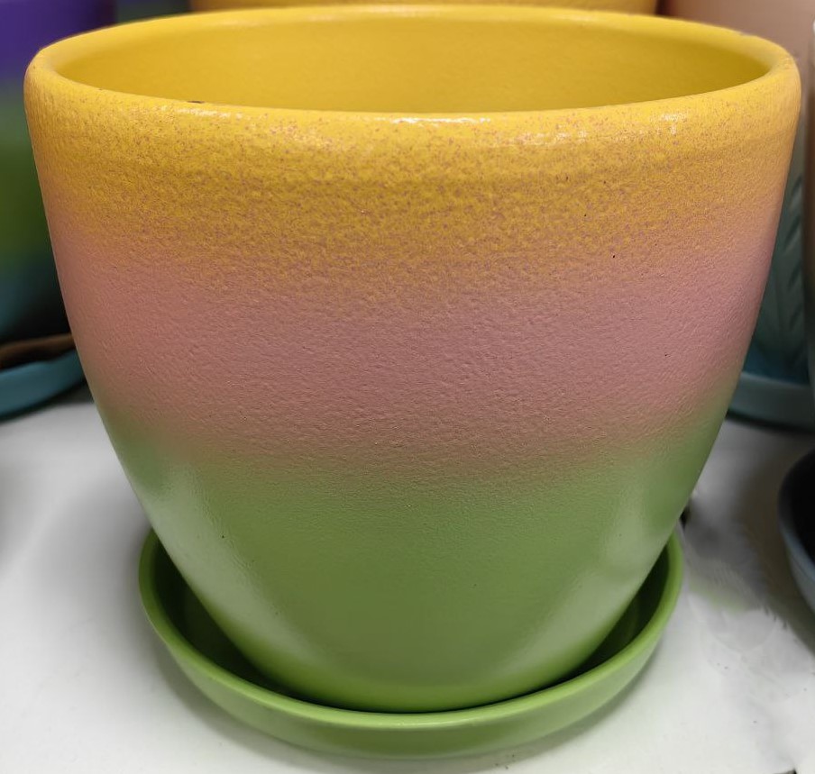 photo1701255150