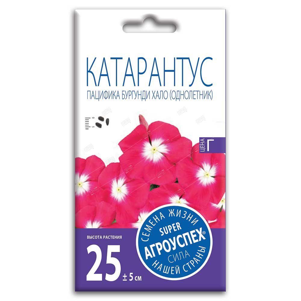 Катарант