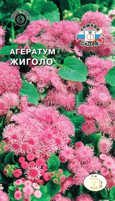 Седек Агератум Жиголо (мексиканский, розовый ) (Евро, 0,1)