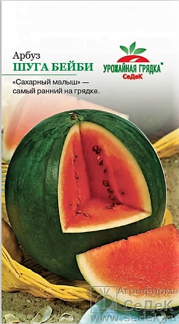 УГ арбуз Шуга Бейби (Евро, 1)