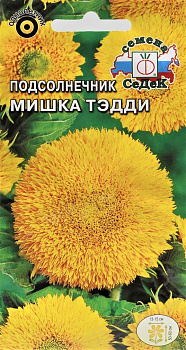 Седек Подсолнечник Мишка Тэдди (низкоросл, махр) (Евро, 1)