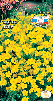 Седек Тагетес Лулу (узколистный, лимонно-желтый) (Евро, 0,1)