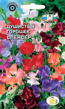 Седек Душистый Горошек Спенсер (смесь) (Евро, 1)