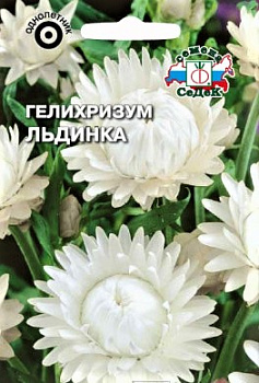 Седек Гелихризум Льдинка (белый) (Евро, 0,2)