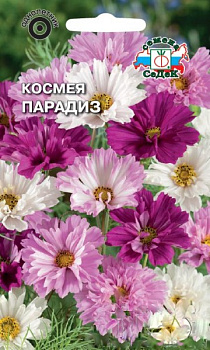 Седек Космея Парадиз (бипиннатус, махровая смесь) (Евро, 0,1)