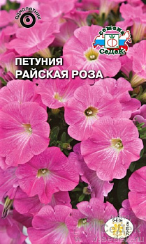 Седек Петуния Райская роза (компактная) (Евро, 0,01)
