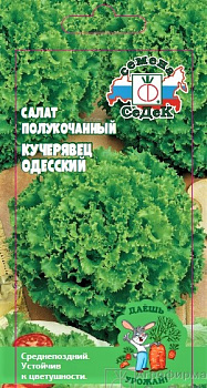Седек салат Кучерявец Одесский (полукочанный) (Евро, 0,5)