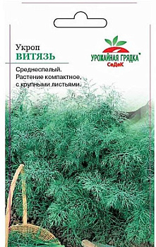 Седек укроп Витязь (Евро, 2)