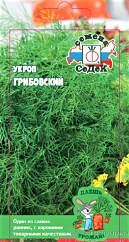 Седек укроп Грибовский (Евро, 2)